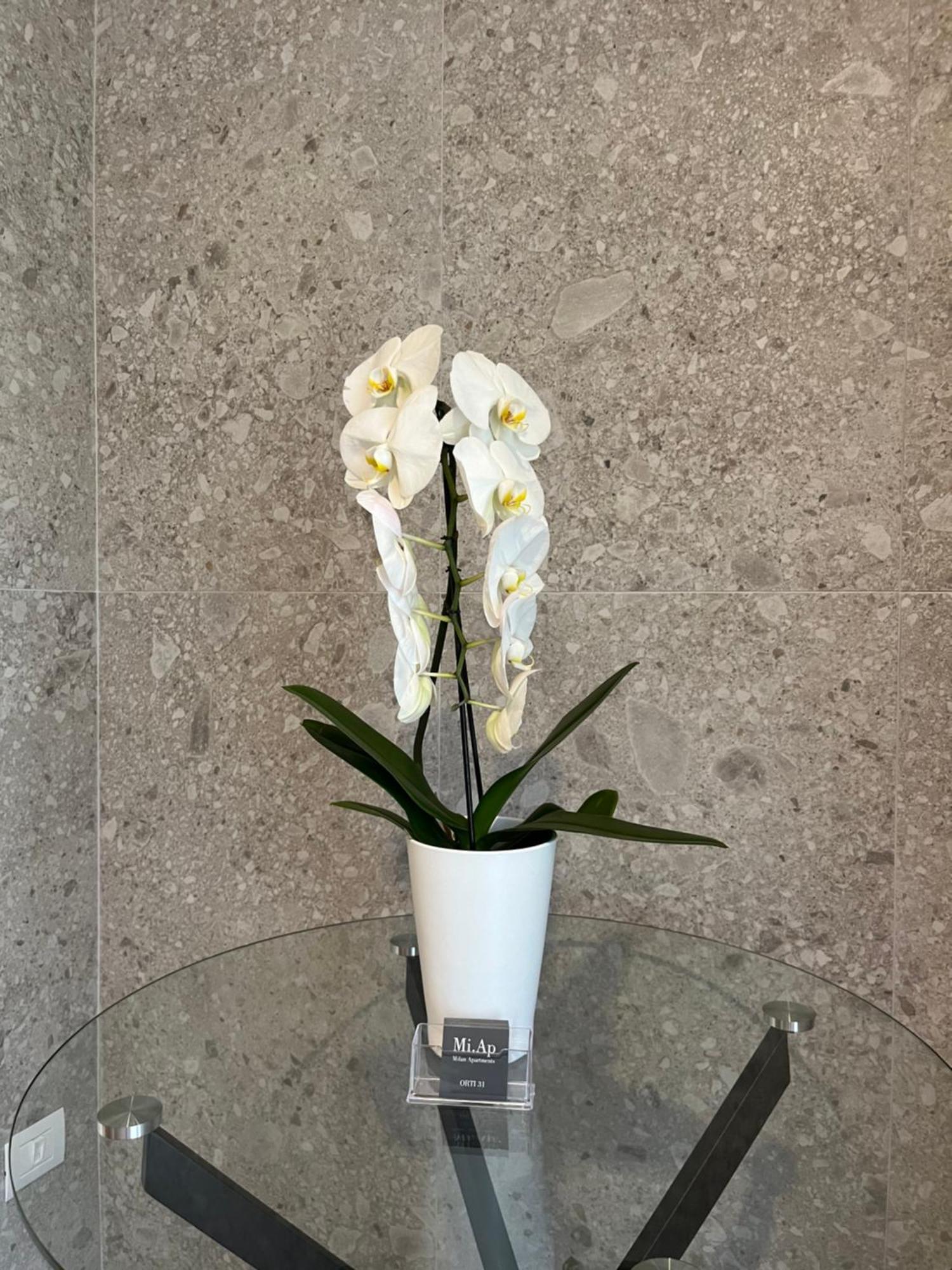 Apartamento Miap Orti 31 Milán Exterior foto